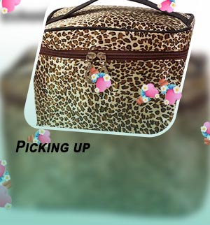 Leopard make up bag